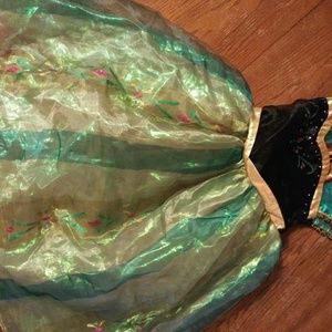 Disney Dress Anna